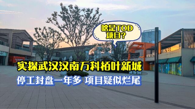 实探武汉汉南万科栢叶新城,停工封盘一年多,项目疑似烂尾?