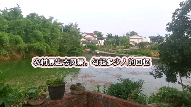 农村原生态风景,勾起多少人的回忆