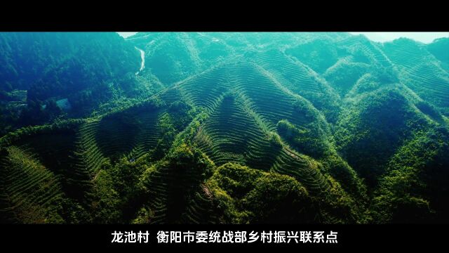 【同心筑梦新湖南】衡阳:雁城美景,同心共秀