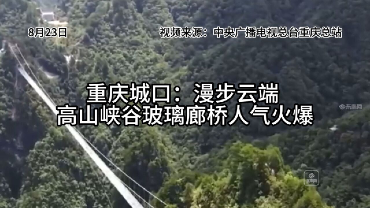 重庆城口:漫步云端 高山峡谷玻璃廊桥人气火爆