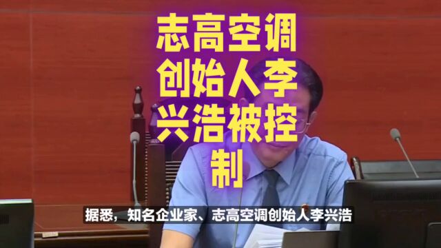 志高创始人李兴浩被控犯罪,企业诚信引关注