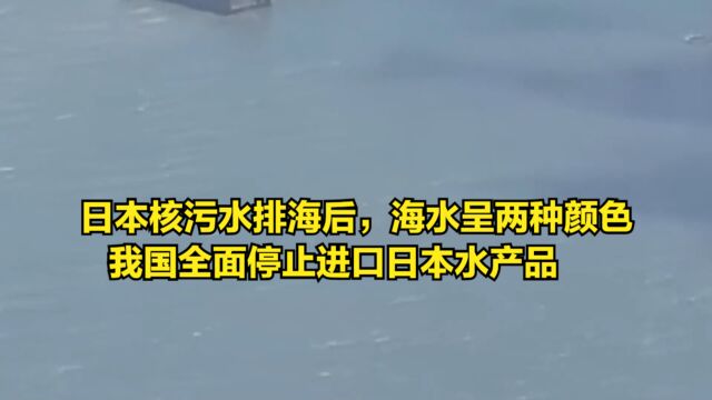 日本核污水排海后,海水呈两种颜色,我国全面停止进口日本水产品