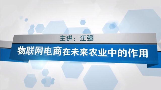 汪强:电子商务在农业中的应用