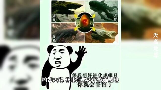 成语故事《天高地厚》