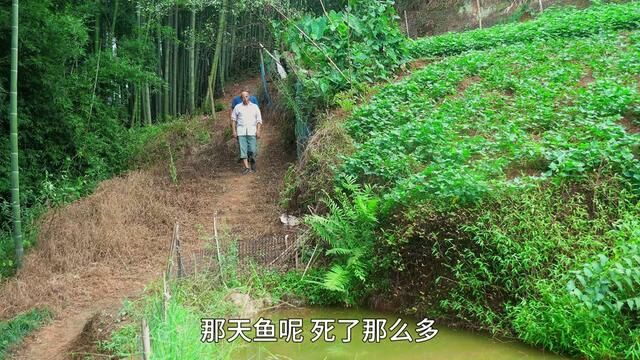 马上开始打谷子了,和二哥一起去田间看看,今年的稻谷怎么样 #乡村 #我的乡野山居生活