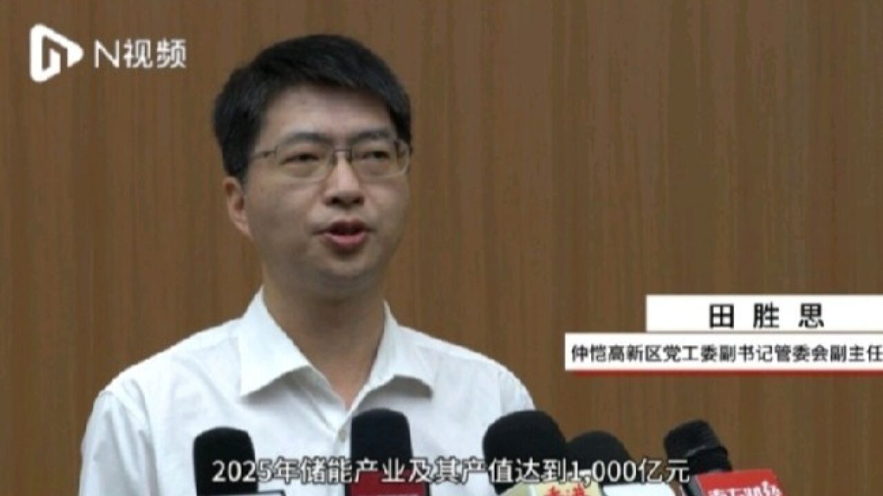 仲恺力争2025年储能产业集群产值达1000亿!