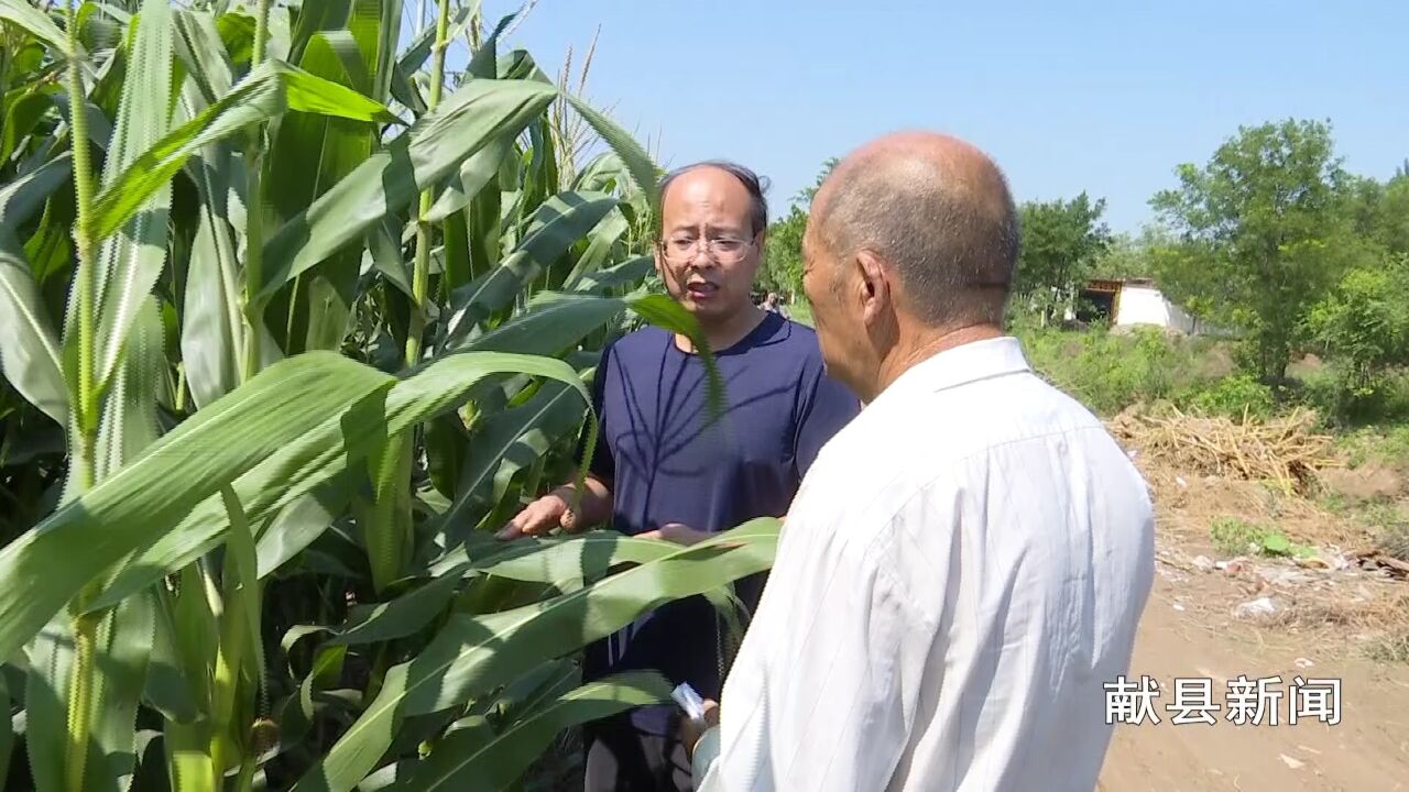 县农业农村局:加强病虫害监测防控促进秋粮丰产丰收