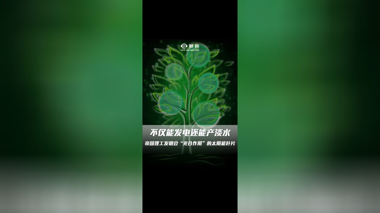 不仅能发电还能产淡水,帝国理工发明会“光合作用”的太阳能叶片