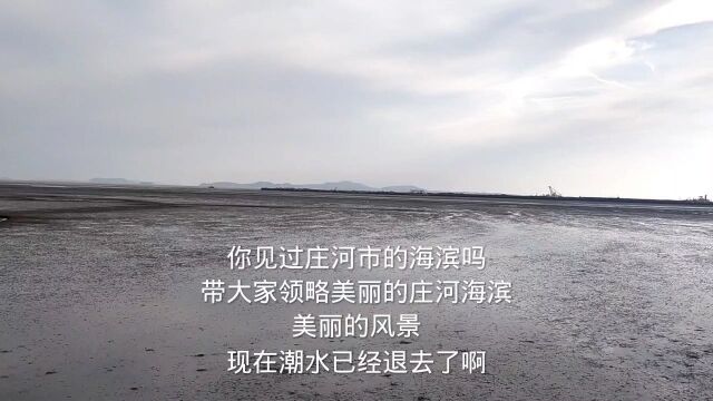 你见过庄河市的海滨吗带大家领略美丽的庄河海滨美丽的风景