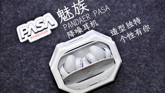 PANDAER PASA 降噪耳机,科技美学与创意设计的完美结合