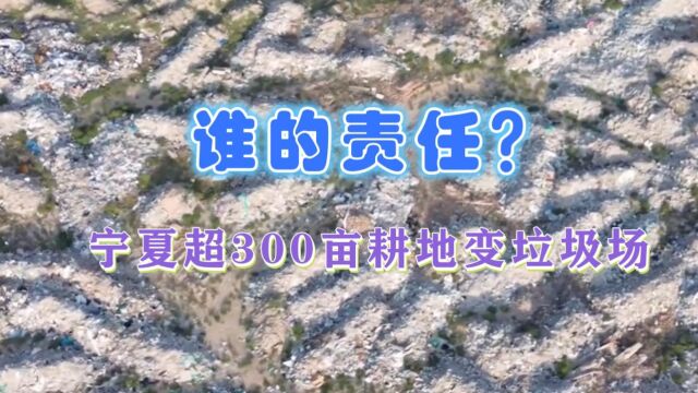 网传银川300多亩肥沃农田变垃圾场,已威胁健康,当地部门介入了