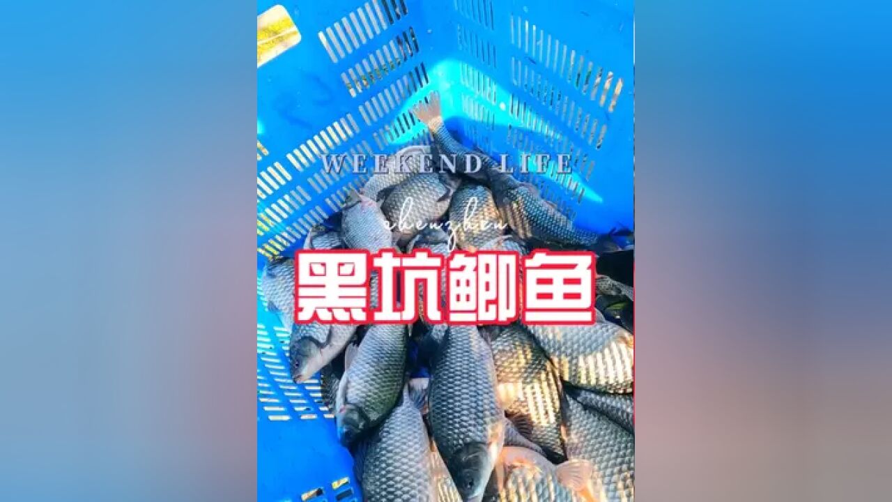 天助我也