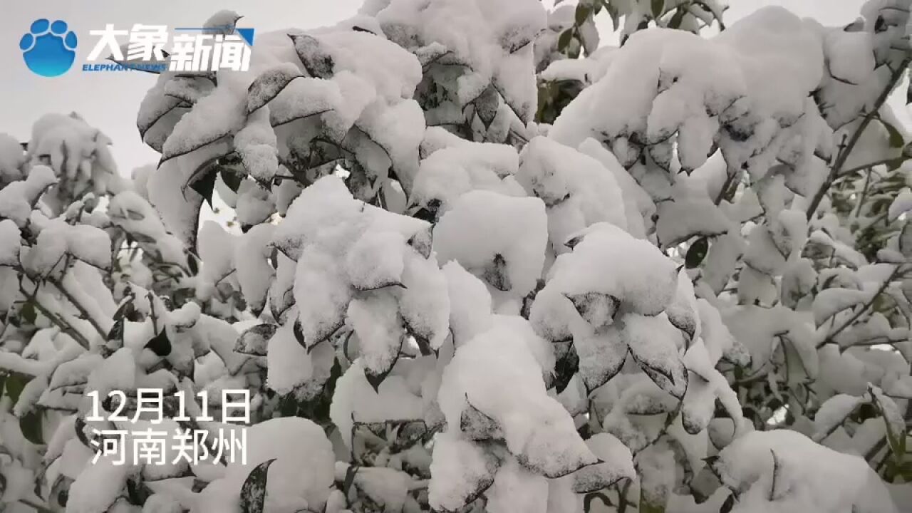 郑州,被雪包裹着