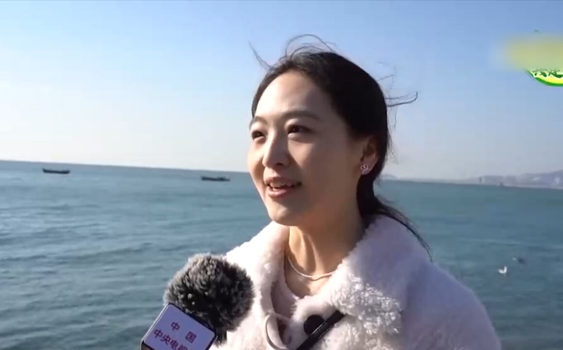 辽宁大连:还海于民,打造美丽海岸