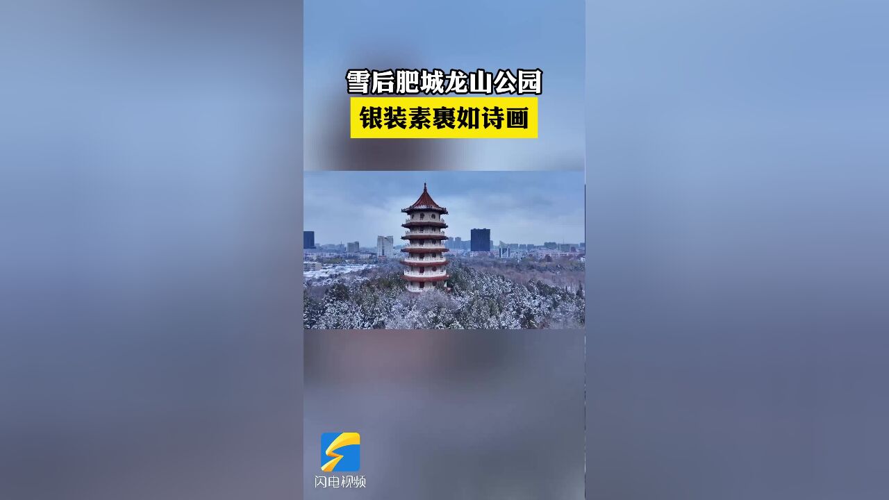 诗画山东丨雪后肥城龙山公园:银装素裹如诗画