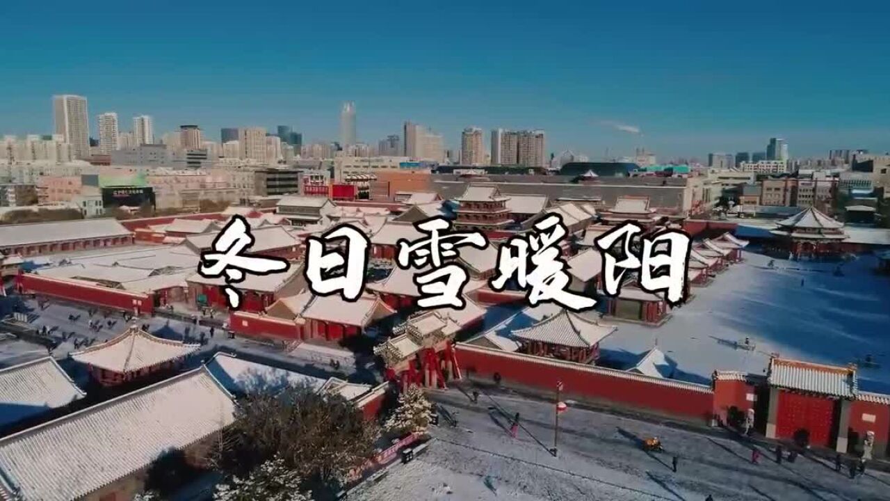 沈阳公安:冬日雪暖阳 迎春保平安