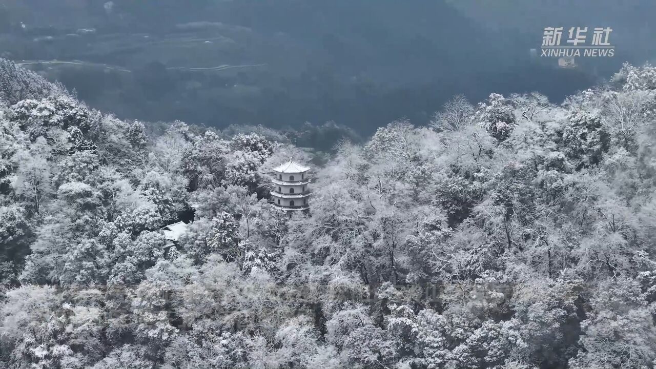 重庆中心城区迎今年首场降雪 市民走出家门赏雪景