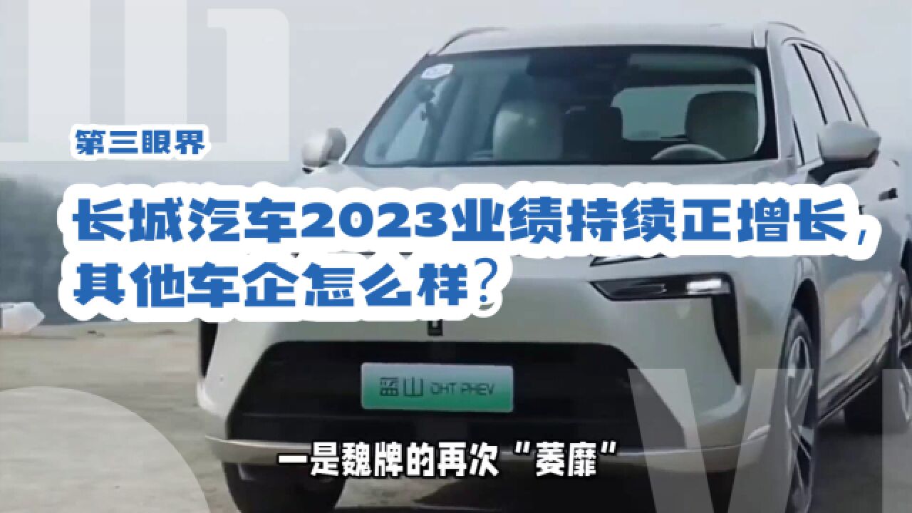 长城汽车2023业绩持续正增长,其他车企怎么样?