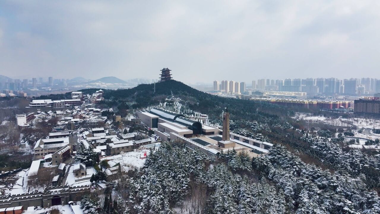 诗画山东丨航拍雪后枣庄临山 林海苍茫美景如画