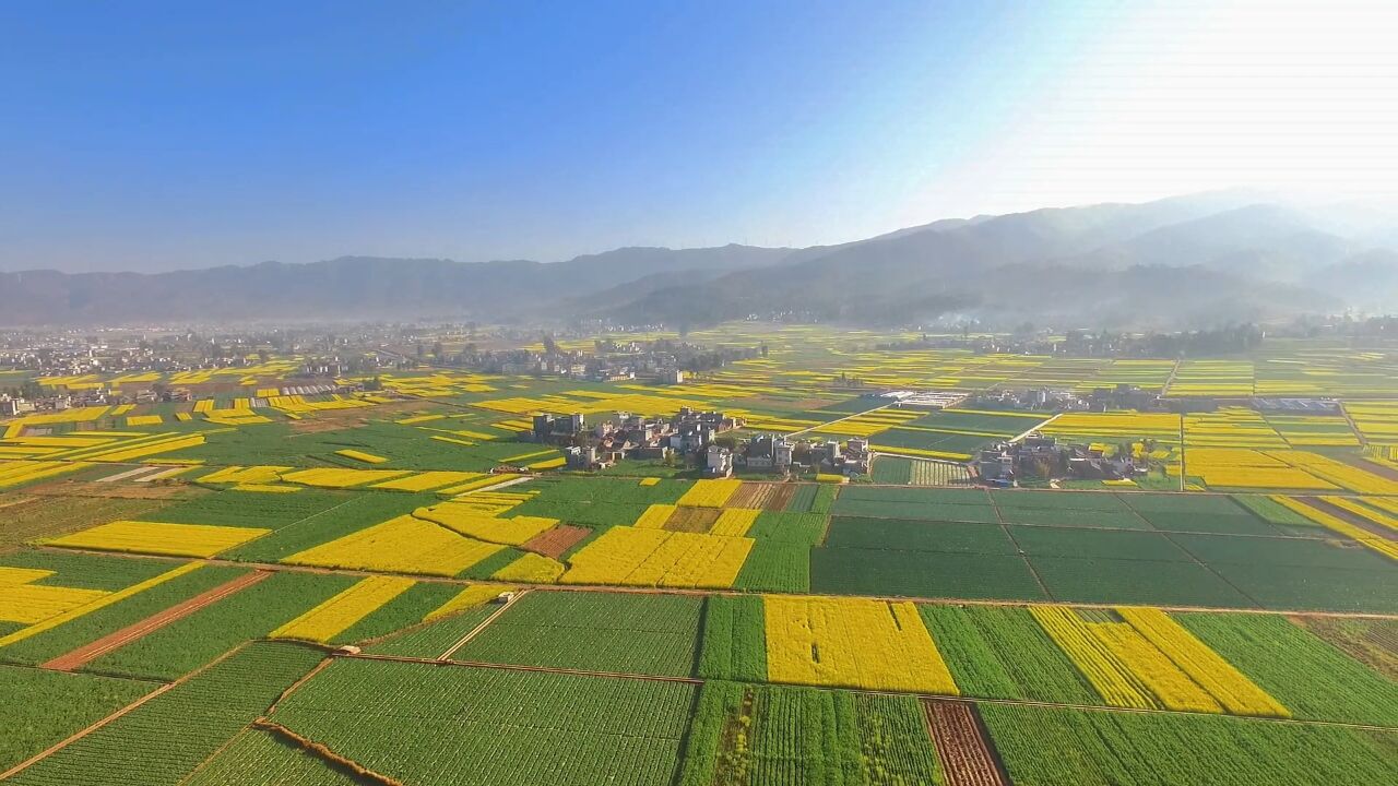 千城胜景 | 楚雄姚安:4万亩油菜花盛开 犹如大地调色盘