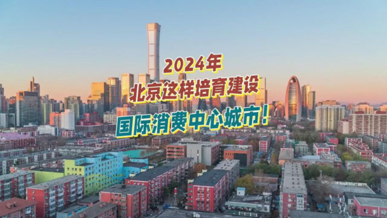 2024年北京国际消费中心城市培育建设工作