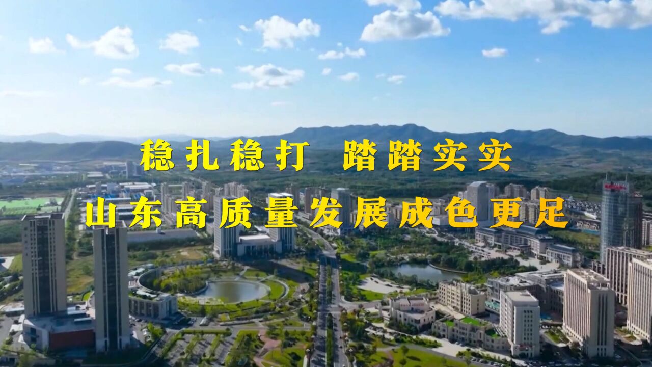 山东团开放日丨稳扎稳打,踏踏实实!住鲁代表共话山东高质量发展