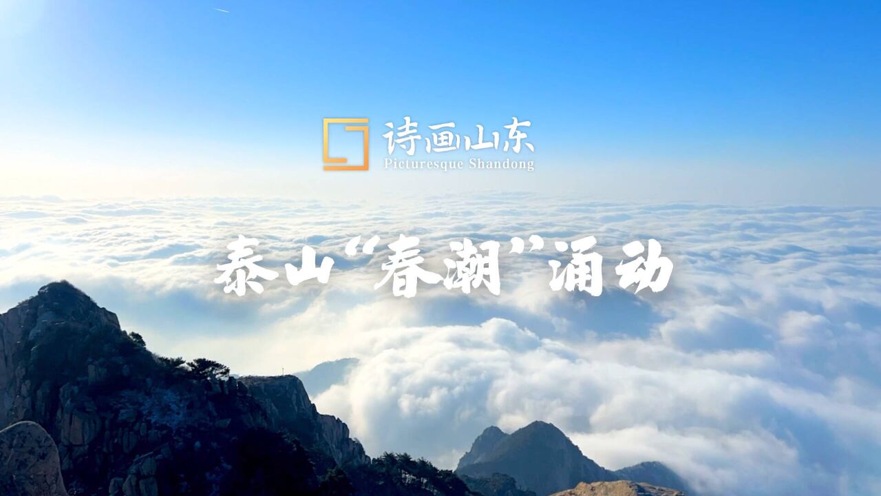 诗画山东|泰山云海“春潮涌动” 自然奇观仙境尽显