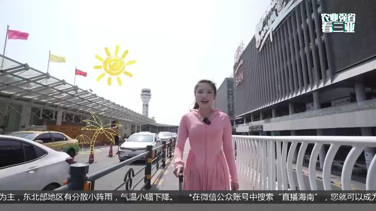 (农业强省看三亚)购在三亚——集海岛心意 带“好礼”回家