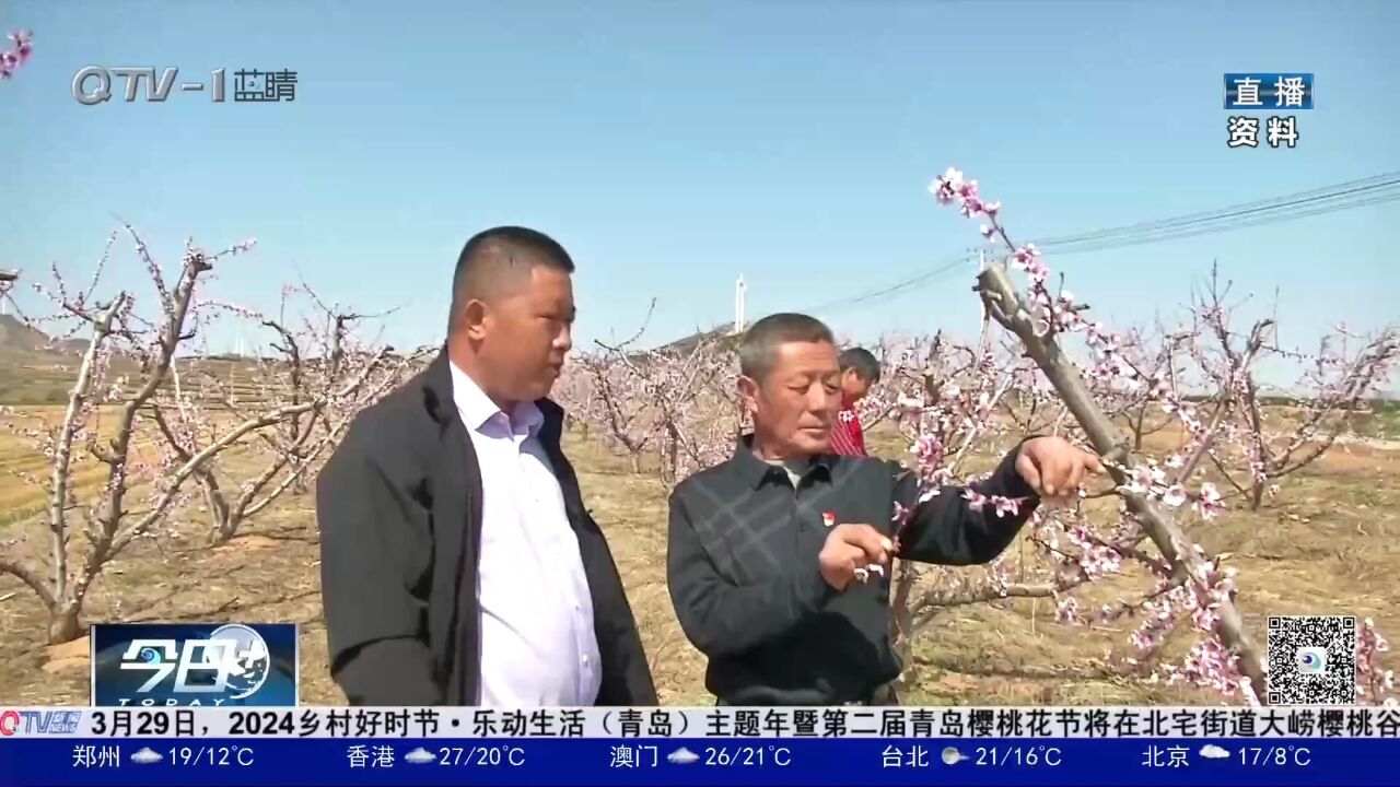 萌山“兵支书”赵国智:退伍不褪色,荒山变金山!