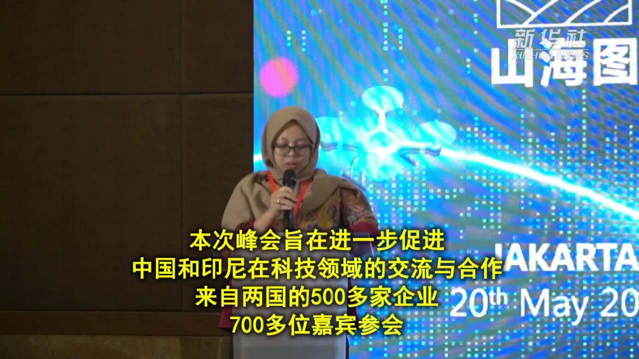 2024印尼科技投资峰会在雅加达举行