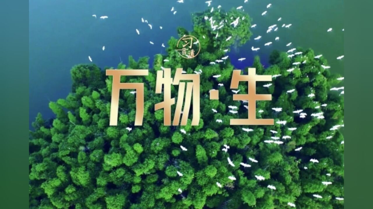 习言道 | 万物ⷧ”Ÿ