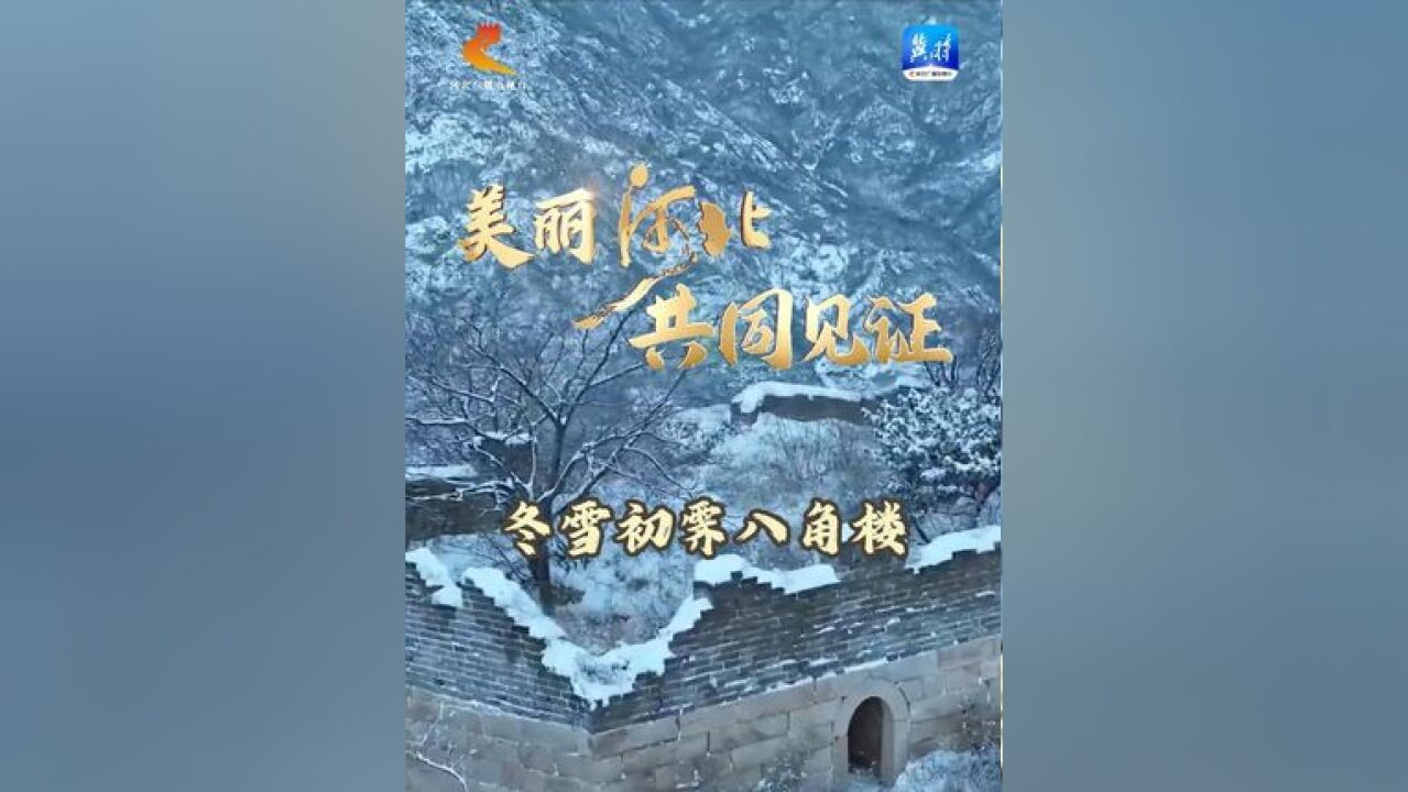 揣连海《冬雪初霁八角楼》