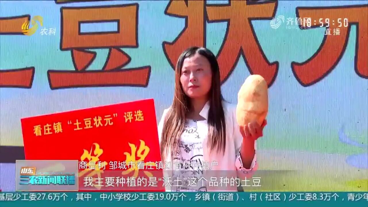 邹城看庄镇:土豆文化节精彩开幕,助力产业发展,赋能乡村振兴