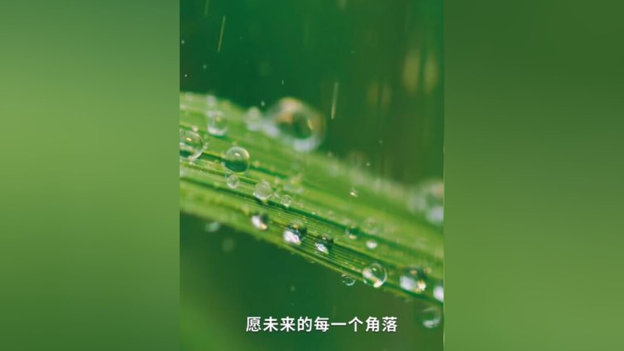 新洋丰“世界环境日”宣言:守护广袤大地,共筑绿色家园