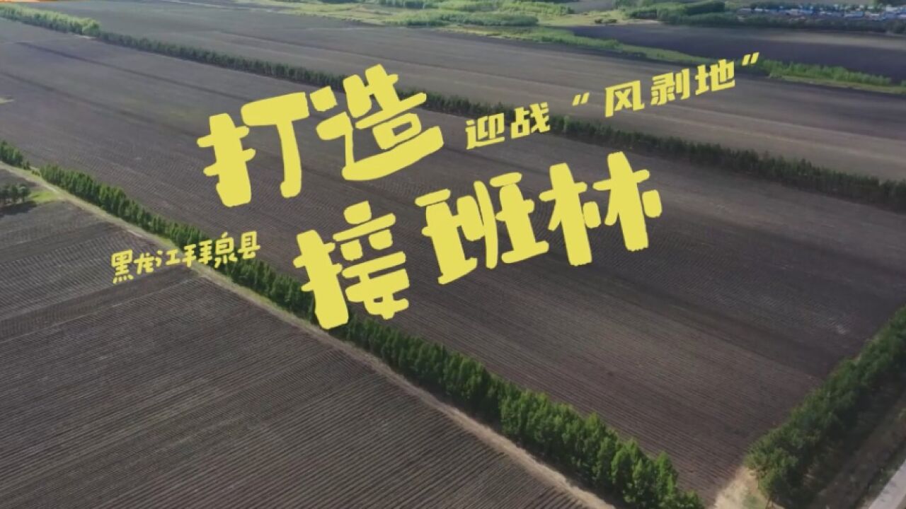 防护林整出新花样 黑龙江老乡有啥治沙高招?