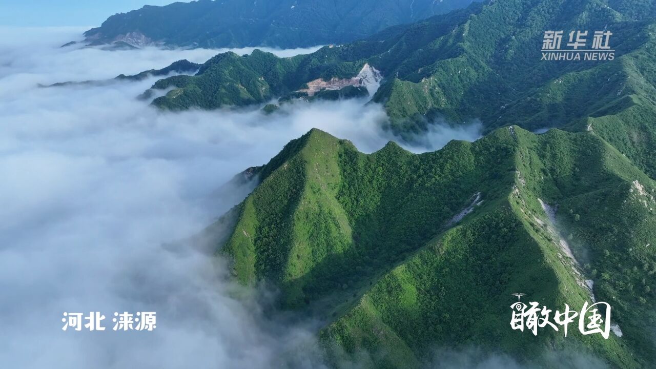 瞰中国|河北涞源:雨后白石山云海如画