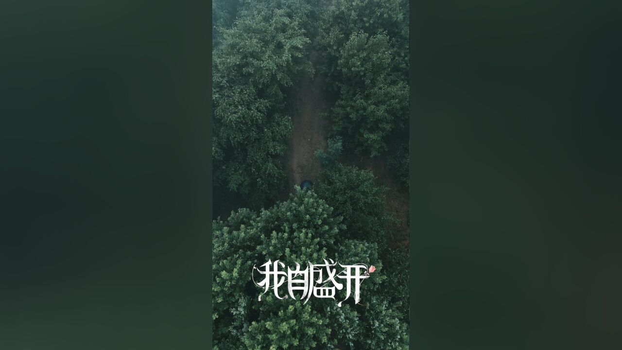 我自盛开丨第1集:无妄之灾