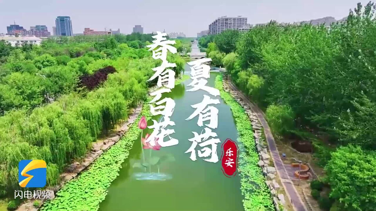 东营市广饶县:春有百花 夏有荷