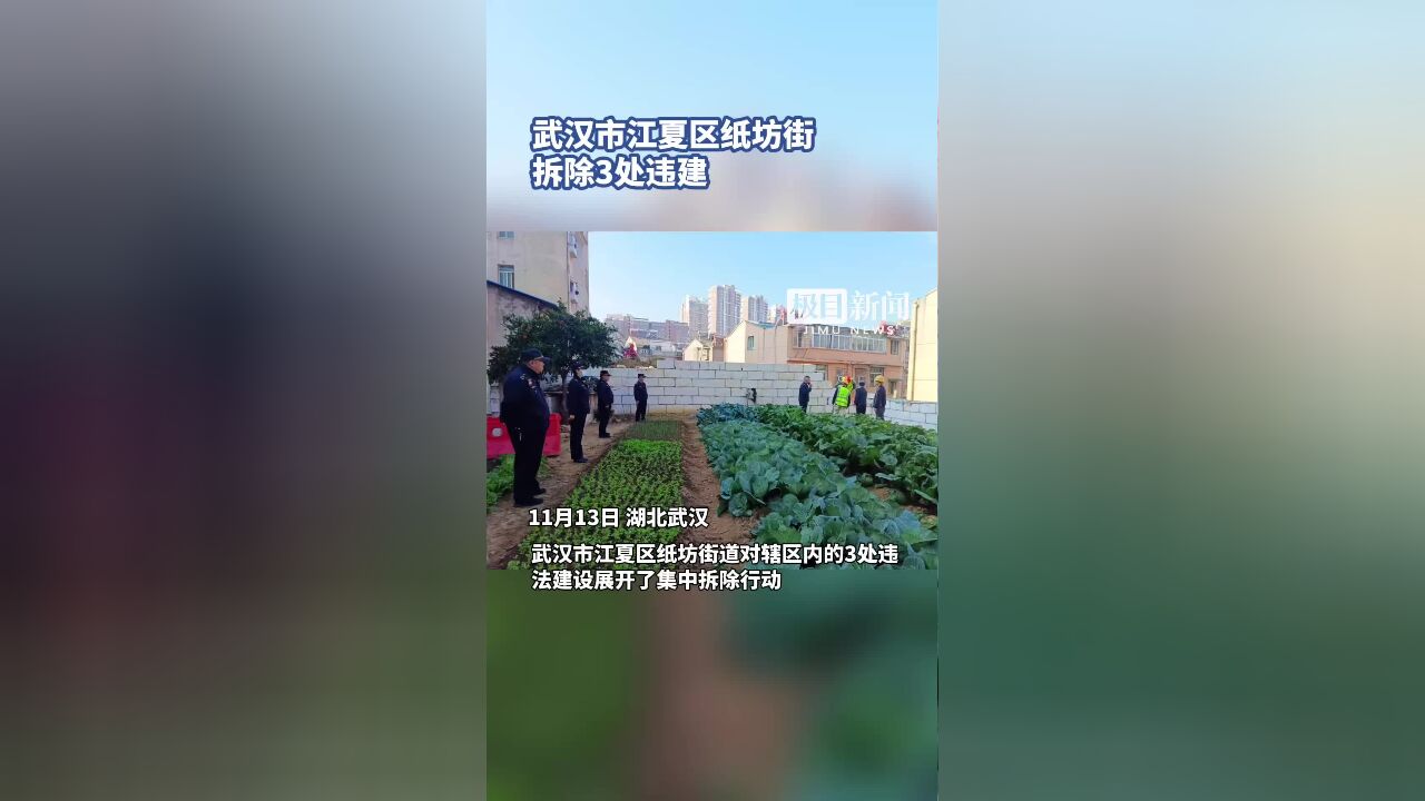 武汉市江夏区纸坊街拆除3处违建