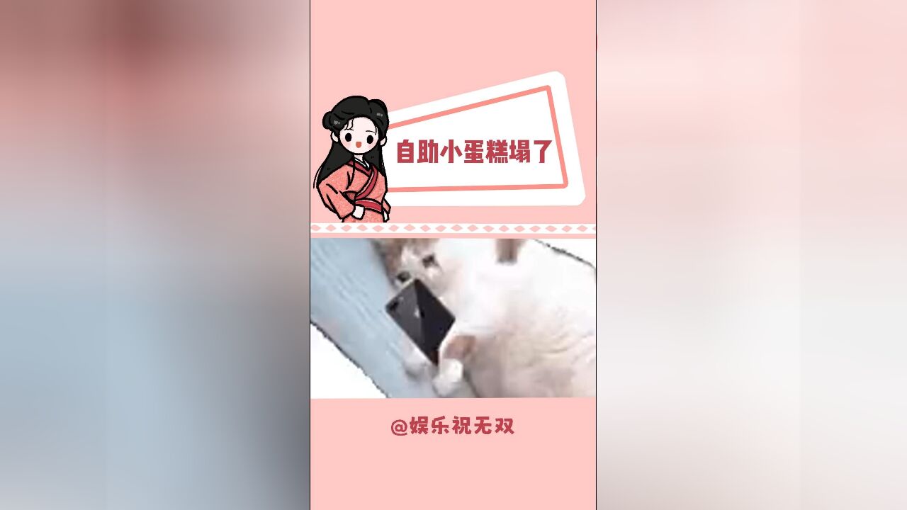 爱吃自助小蛋糕的小女孩要碎了