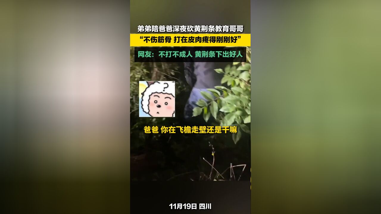 弟弟陪爸爸深夜砍黄荆条教育哥哥