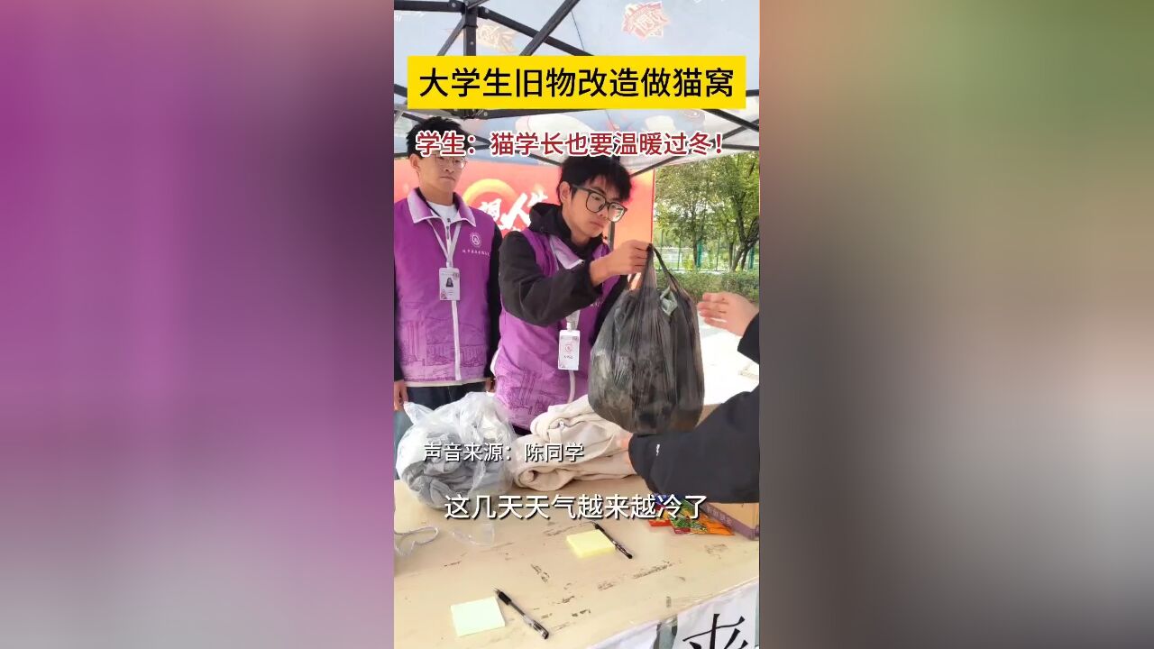 大学生旧衣改造让猫学长温暖过冬