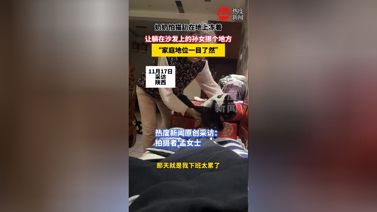 奶奶怕猫趴在地上冻着,让躺在沙发上的孙女挪个地方