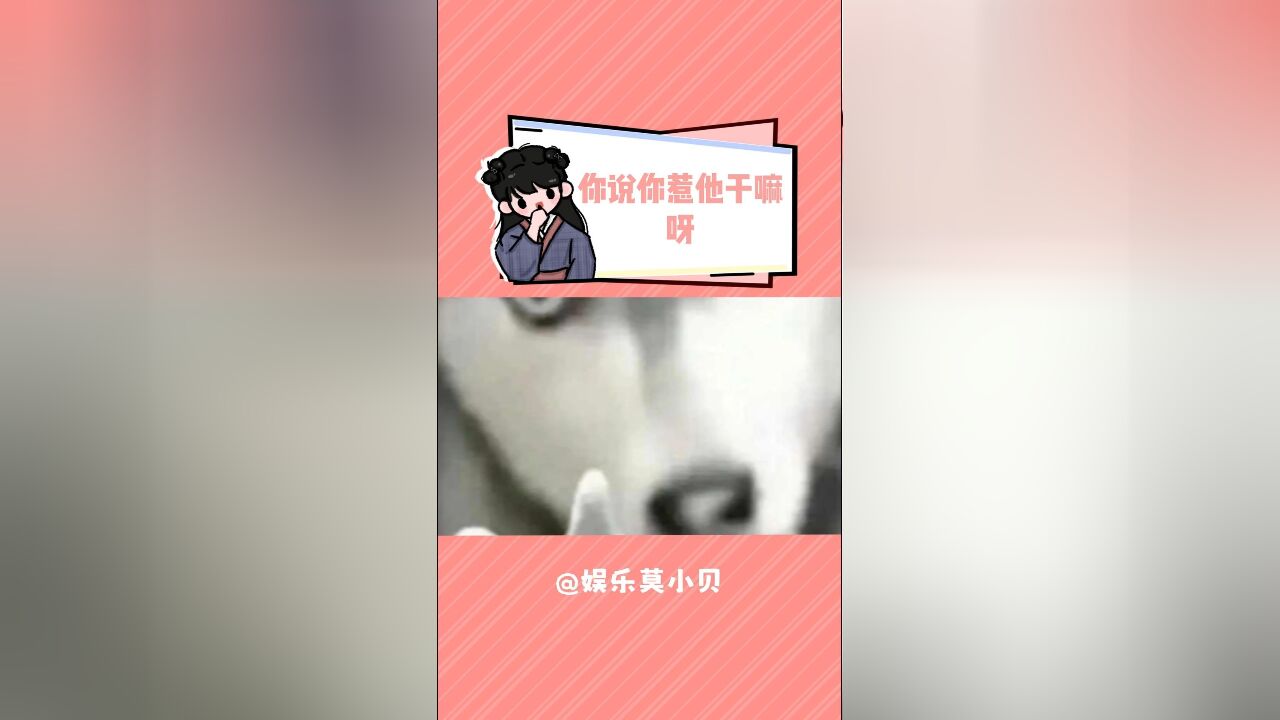 这个视频的含金量max