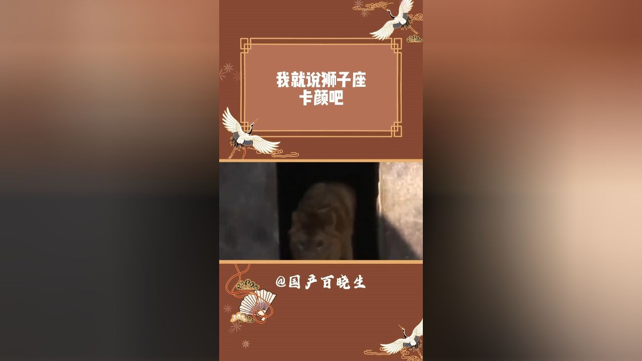 我就说狮子座卡颜吧