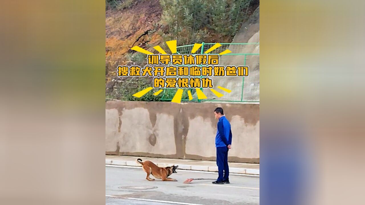 当训导员休假后,搜救犬开启了和临时奶爸们的爱恨情仇