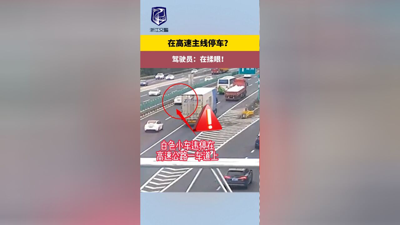 在高速主线停车? 驾驶员:在揉眼!