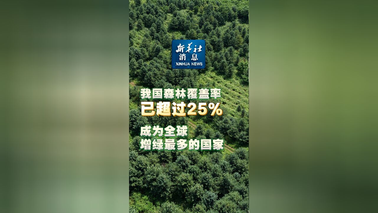 新华社消息|我国森林覆盖率已超过25% 成为全球增绿最多的国家