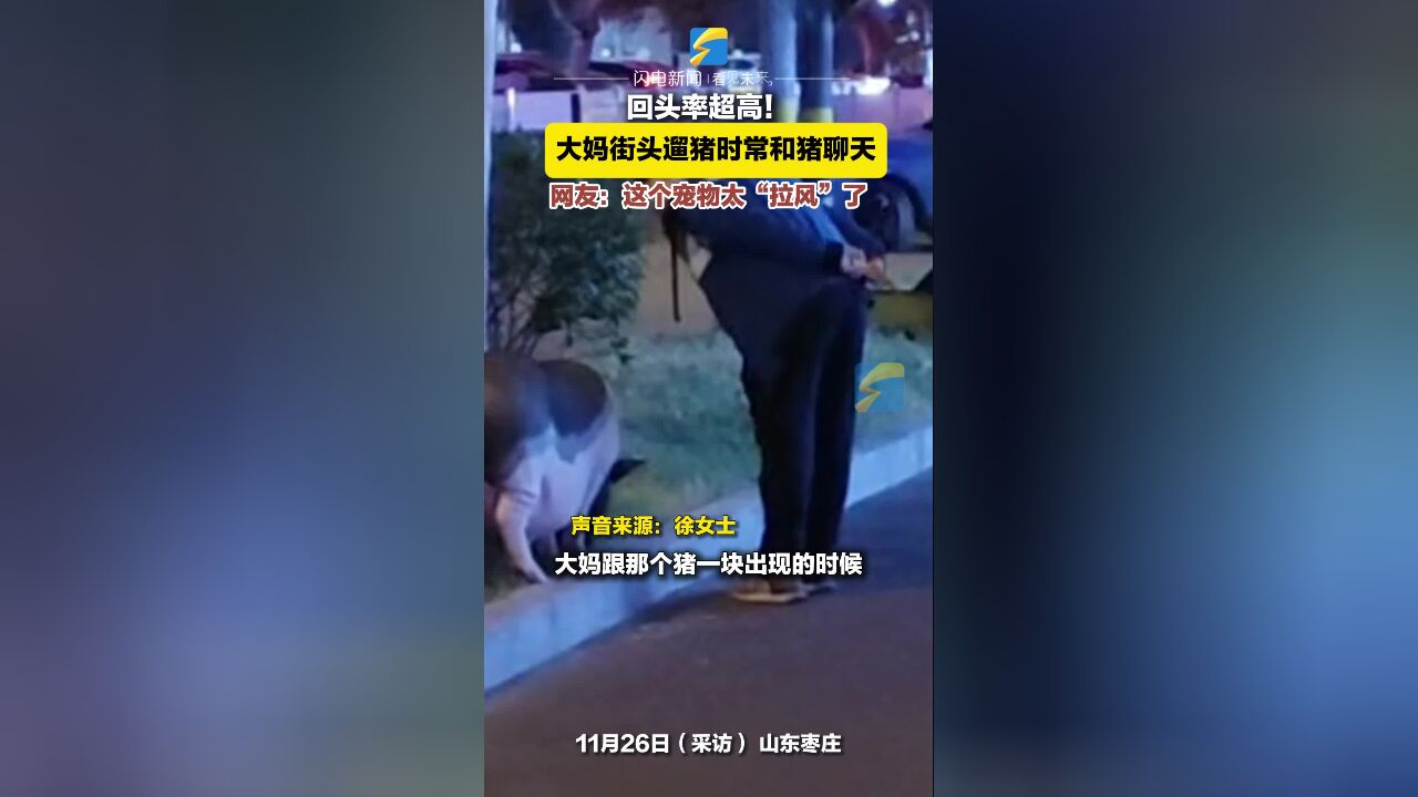 大妈街头遛猪时常和猪聊天 网友:这个宠物太“拉风”了