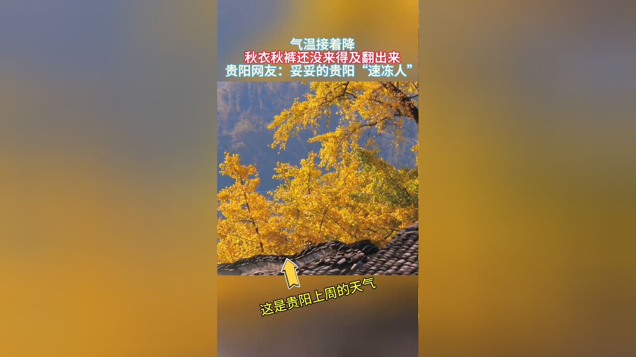 气温接着降 秋裤还没来得及翻出来 贵阳网友:妥妥的“速冻人”